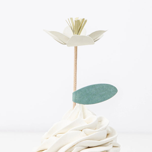 ערכת קאפקייקס גן ופרחים - Meri Meri