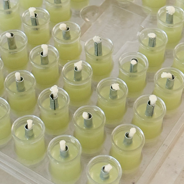 כוסיות שמן זית