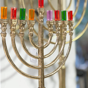 כוסיות שמן זית מוצק צבעוני