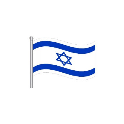 עשיריית דגלי ישראל מניילוןעל מקל