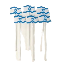 6 בוחשנים דגל ישראל