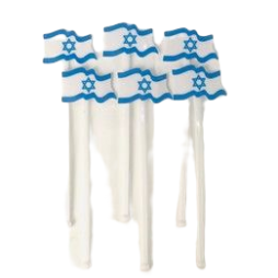 6 בוחשנים דגל ישראל