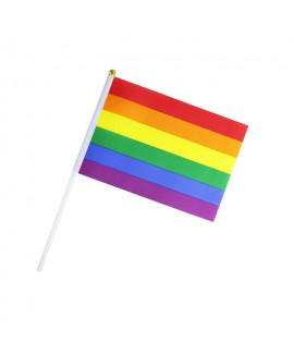 דגל גאווה קטן על מקל
