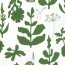 מפיות מרימקו- עלים ירוקים