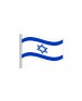 עשיריית דגלי ישראל מניילוןעל מקל